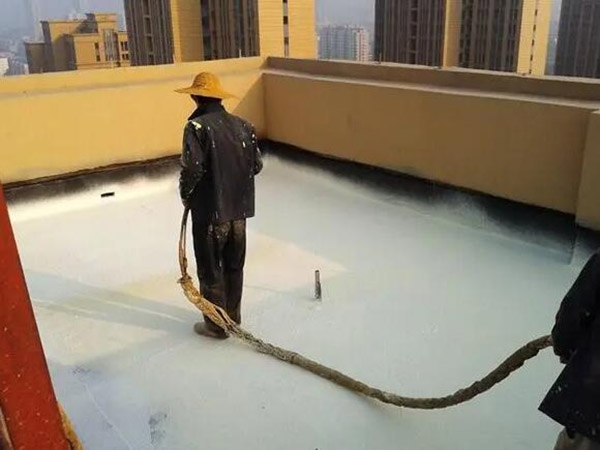 qq截圖20230217143316